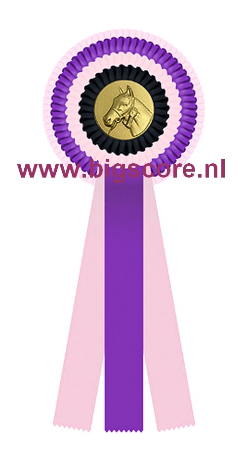 R 04 Multi 4-Ringsrozet Ø 15,5 L: 39,5 cm Blanco met optie Full-Colour logo Ø 50 mm